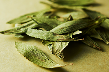 ステビア抽出物